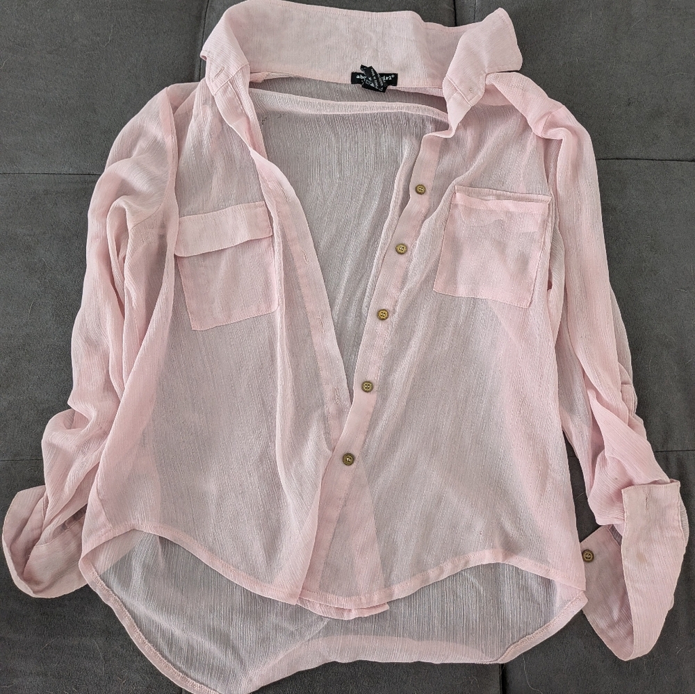 About A Girl Light Pink Sheer Blouse